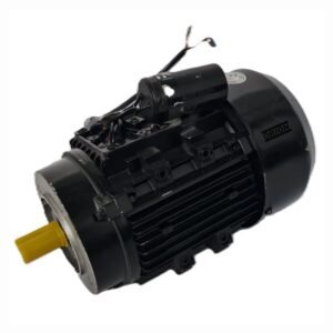 motor eletrico para afiadora universal 220V